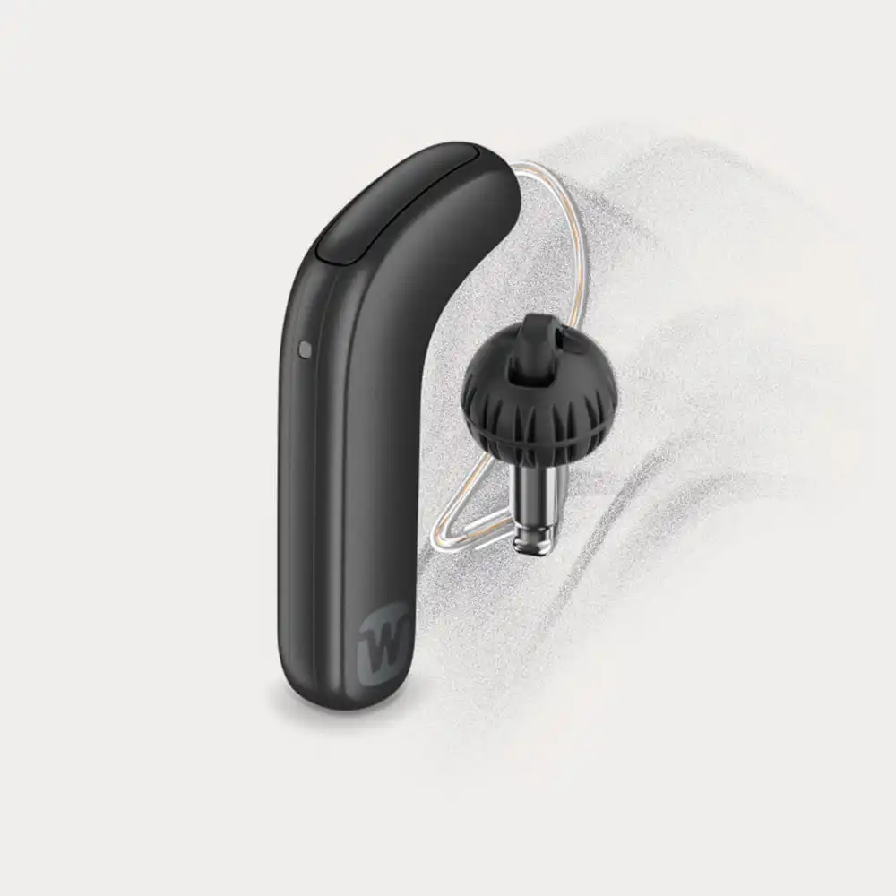 Widex SmartRIC hearing aid
